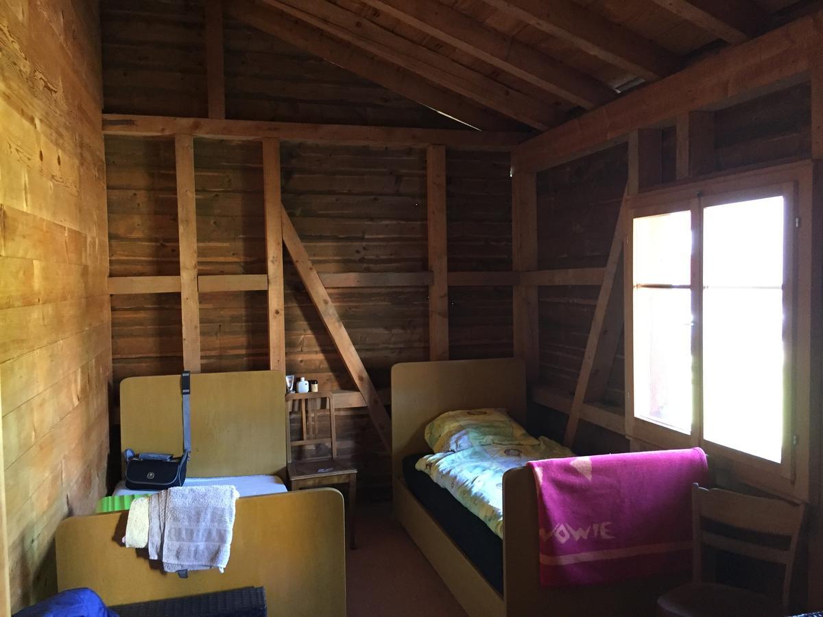 Cafe Olga Bed & Breakfast Trun Luaran gambar